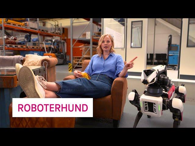 What is a robot dog? - Netzgeschichten
